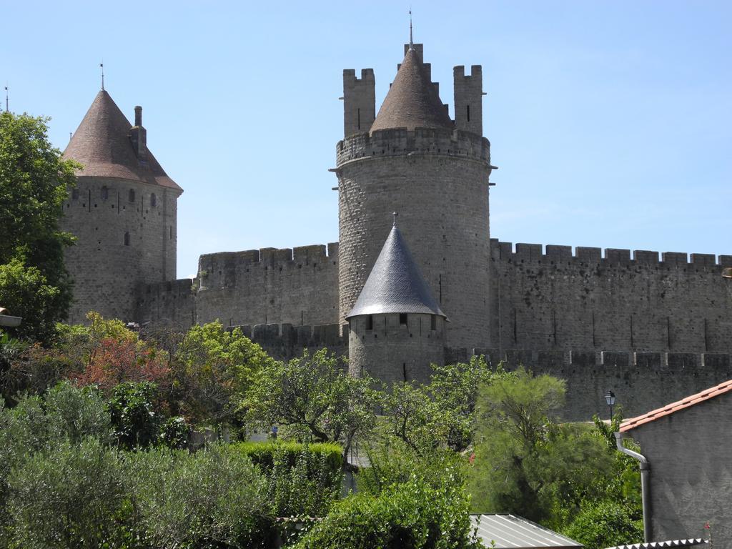 Vue sur Cité - SPA Carcassonne Camera foto